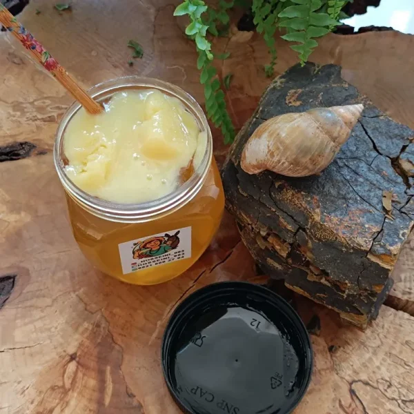 عسل درمانی و بی تغذیه