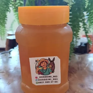 عسل درمانی و بی تغذیه - تصویر 6