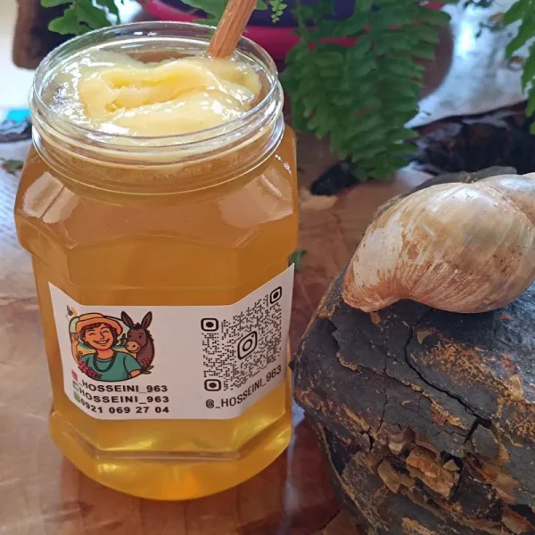 عسل درمانی و بی تغذیه