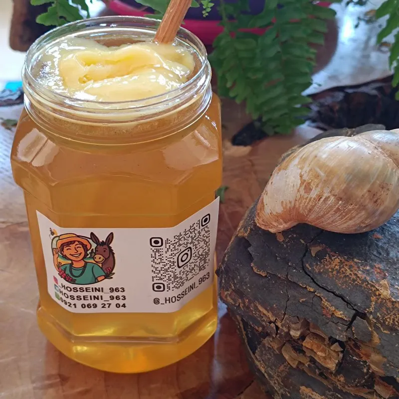 عسل درمانی و بی تغذیه - تصویر 3