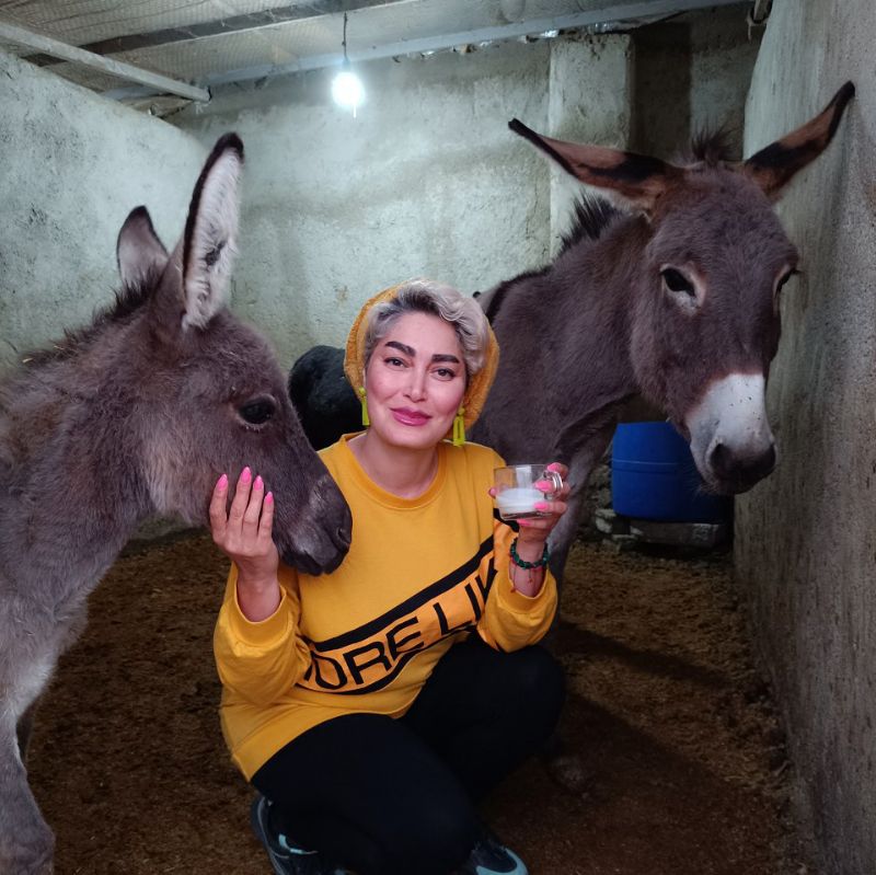 شیر تازه الاغ